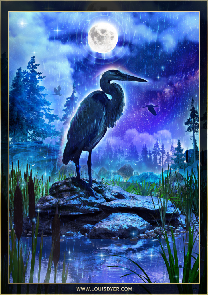 Moonlight and Patience